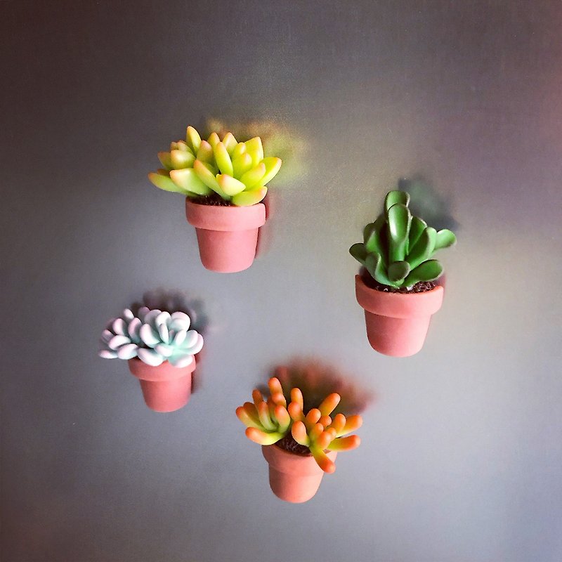 Single basin with small meat and small magnets. Simulated clay succulents_4 - Magnets - Clay Green