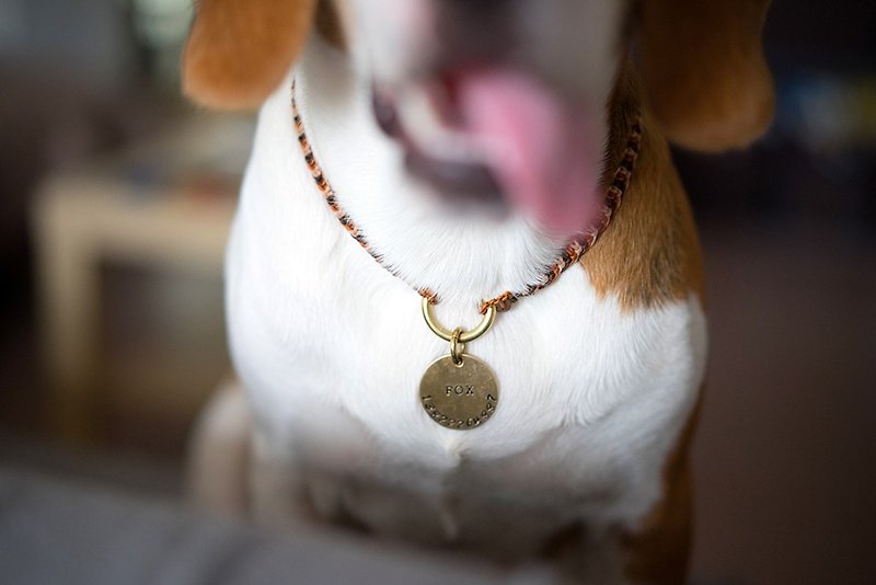 "Petty" / pet /**small / medium-sized dog special**pet brand tag custom custom dog dog meow micro-brass hand-engraved brand braid collar collar simple texture Chai dog exclusive gift - ปลอกคอ - โลหะ 