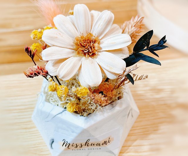 Dried Small Daisy Flower with Container