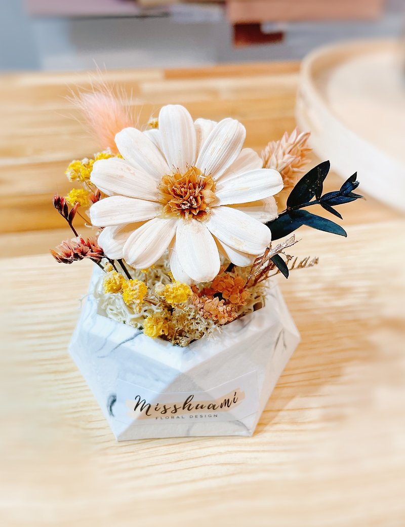 Miss. Flower Mystery [Plant Sensation Diffusing Small Table Flower] Dried Flowers Preserved Flowers - ช่อดอกไม้แห้ง - พืช/ดอกไม้ หลากหลายสี