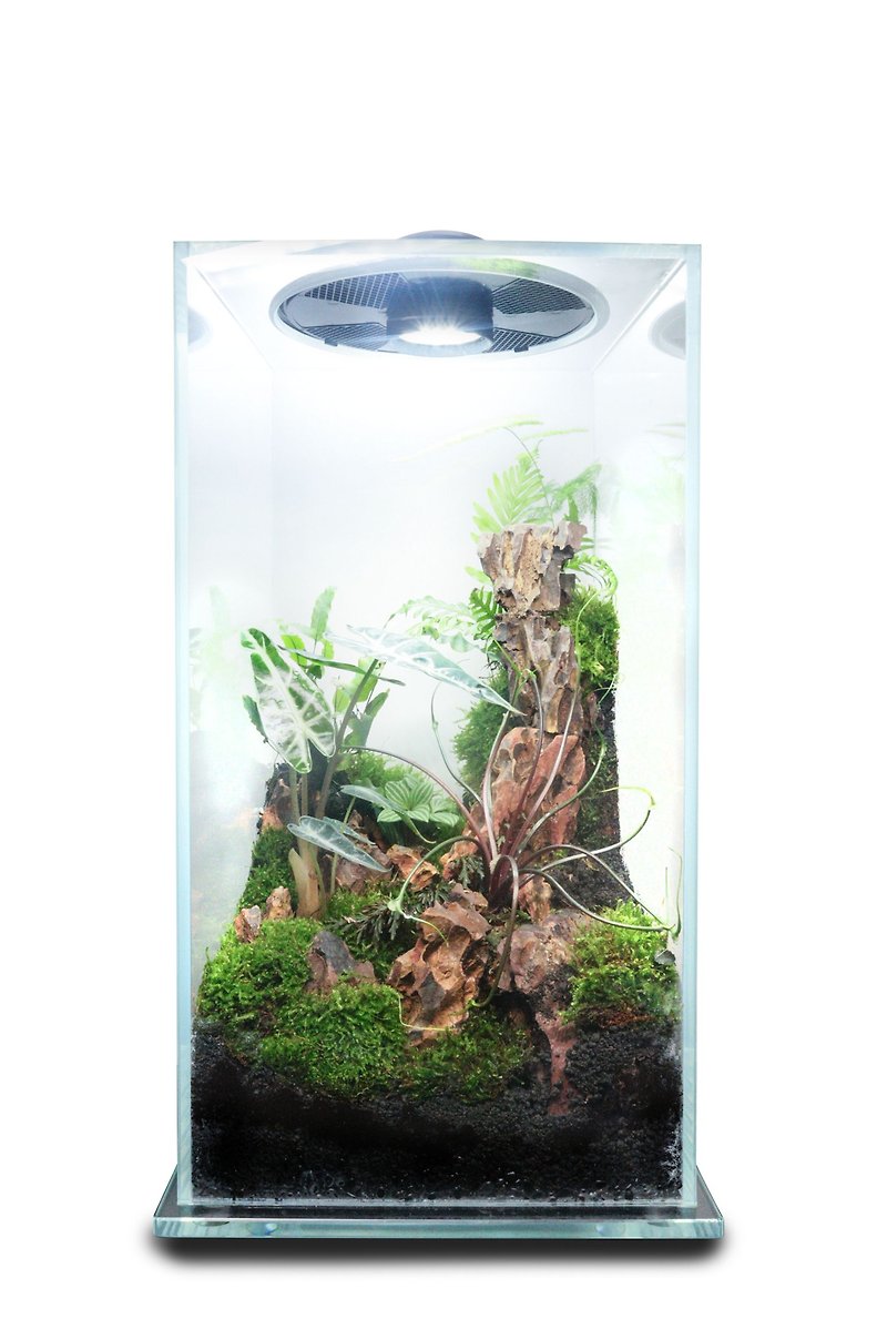 [Customized] Fernxing Technology Ecological Bottle-Technology Square Cylinder (Large) - Plants - Glass 