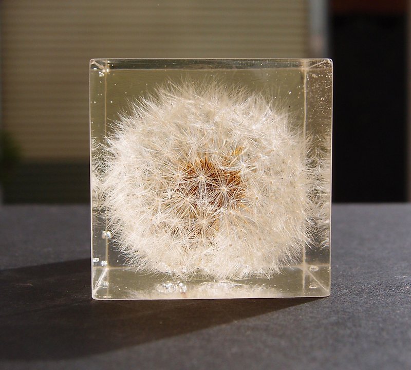 Dandelion in clear resin No. 1 - Other - Resin Transparent