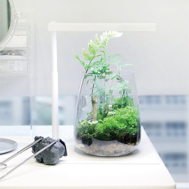 ONF Flat Nano Desktop Plant Cultivation Lamp + Moss Micro Landscape Handmade Lazy Bag - Plants - Other Materials Black