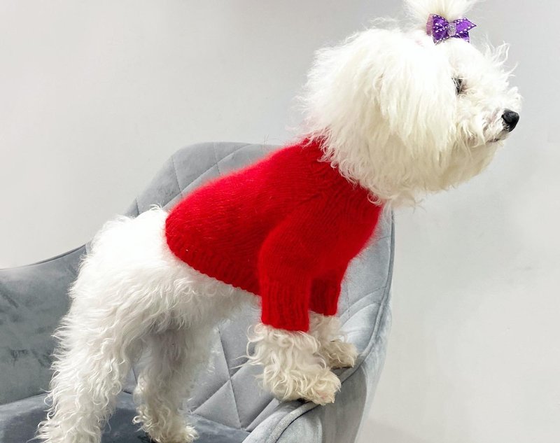 Dog clothes fuzzy dog sweater , Maltese , Yorkie clothes , chihuahua clothes - ชุดสัตว์เลี้ยง - ขนแกะ สีแดง