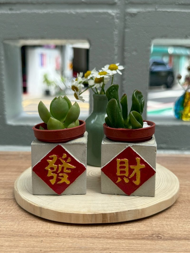送包裝 交換禮物 發財組 磁鐵盆栽 送多肉 - 盆栽/植栽 - 水泥 紅色