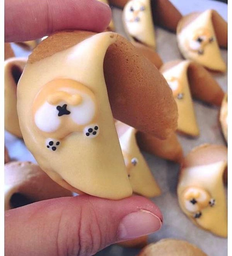 40 customized activities for Corgi the Pig fortune cookie - ขนมคบเคี้ยว - อาหารสด สีดำ