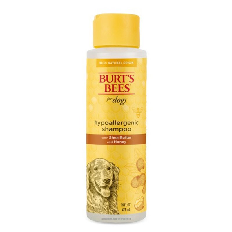 Burt's Bees Shea Honey Body Wash 16oz - Cleaning & Grooming - Other Materials Orange