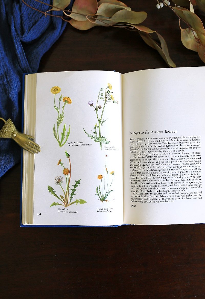 American Wills Classic Floral Old Book // Vintage Old Book - หนังสือซีน - กระดาษ ขาว