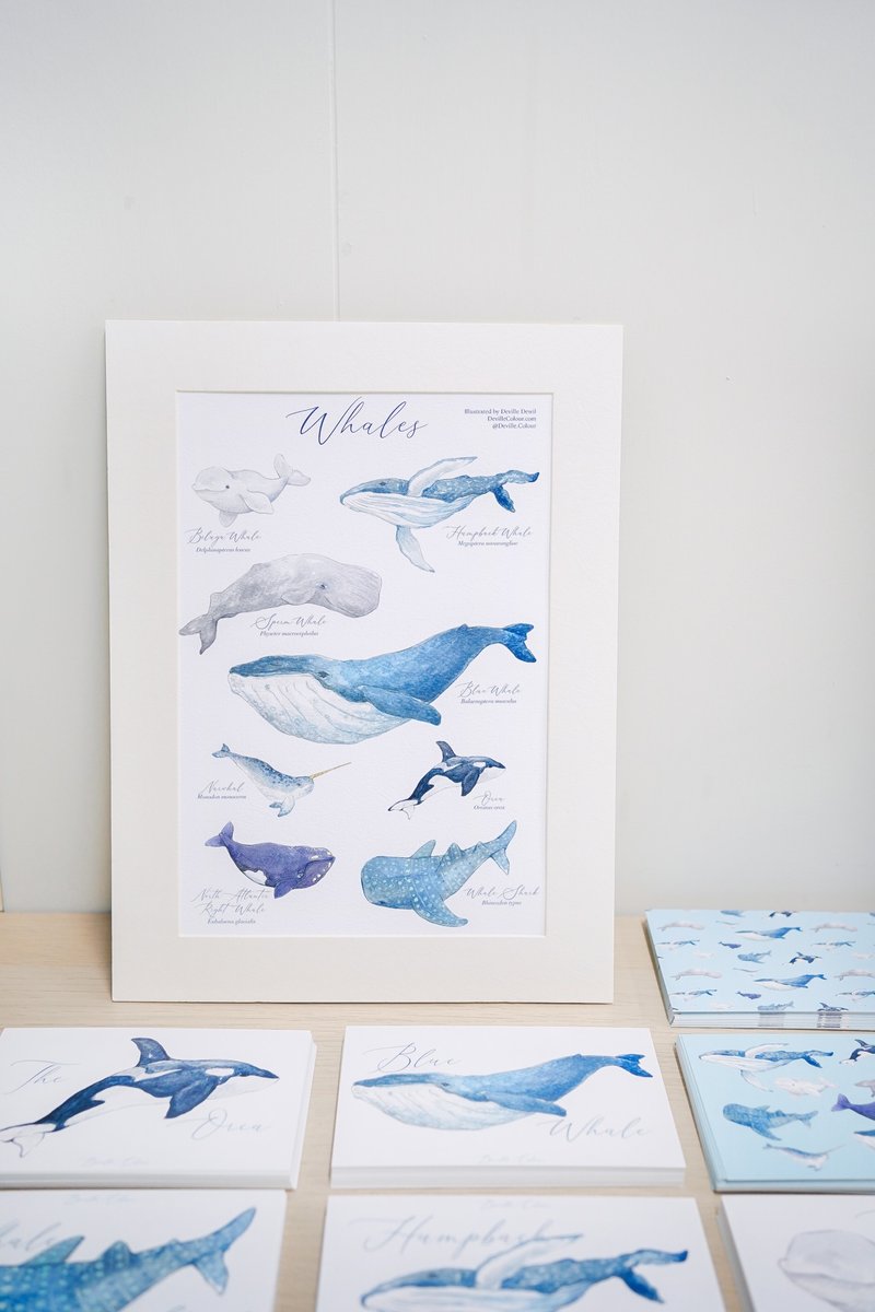 【Whale Does It Belongs】Watercolour Illustrated Encyclopedia A4 Art Print - โปสเตอร์ - กระดาษ สีน้ำเงิน