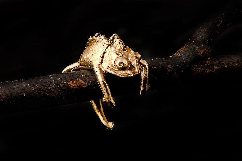 指尖藝術品-黃銅變色龍系列戒指 - 戒指 - 銅/黃銅 黃色