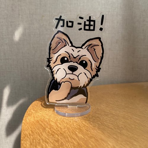 ヨークシャーテリア 犬