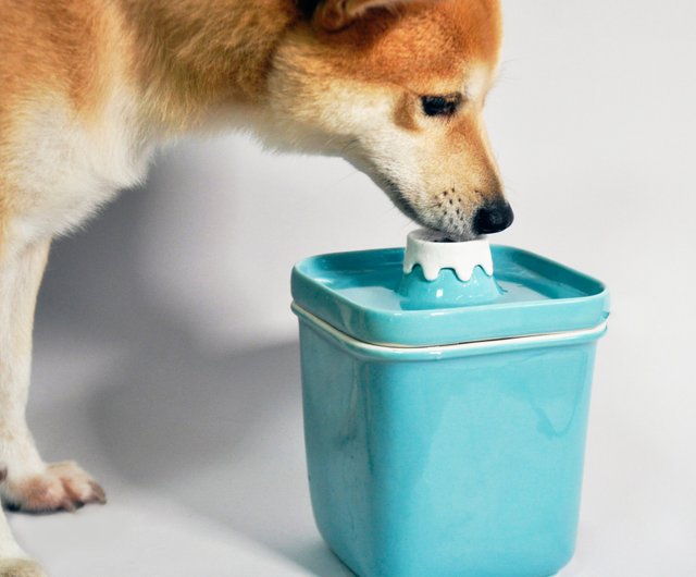 ceramic dog water dispenser