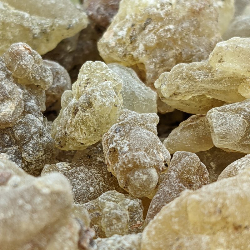 綠精靈琥珀乳香樹脂15g - 香氛/精油/擴香 - 樹脂 
