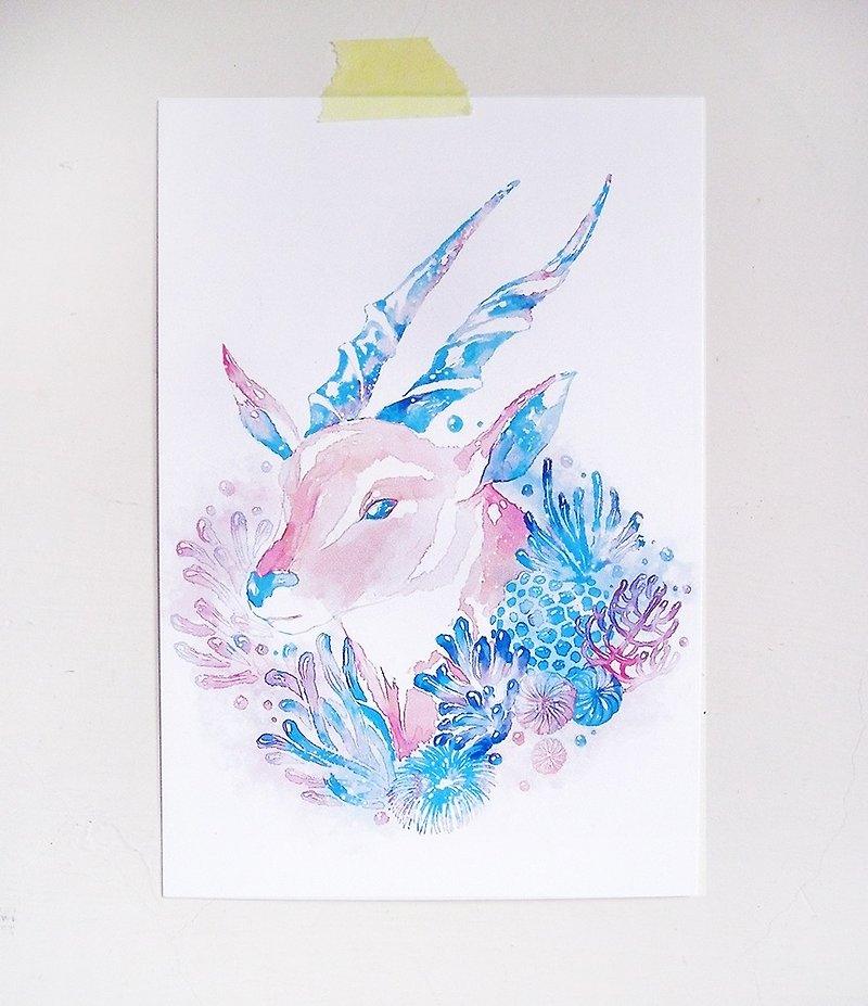 Sea Anemone and Eland Antelope/Double-sided postcard postcard - การ์ด/โปสการ์ด - กระดาษ สีน้ำเงิน