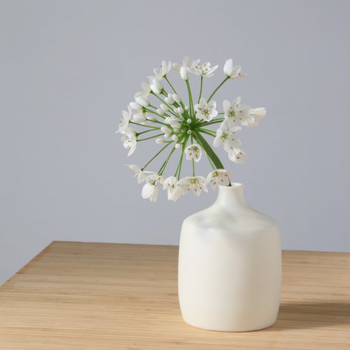 studio bwanji 白い磁器の花器 -27