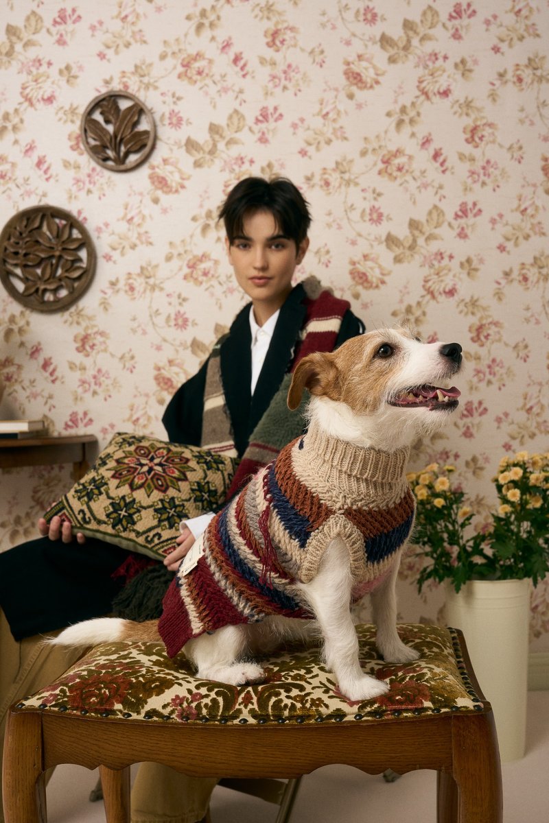 MULTI LAB - 502 - 寵物衣服 - 羊毛 多色