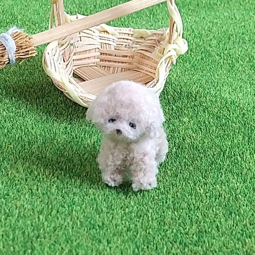 約2.4cmモールアート トイプードル - ショップ Little Dog Club