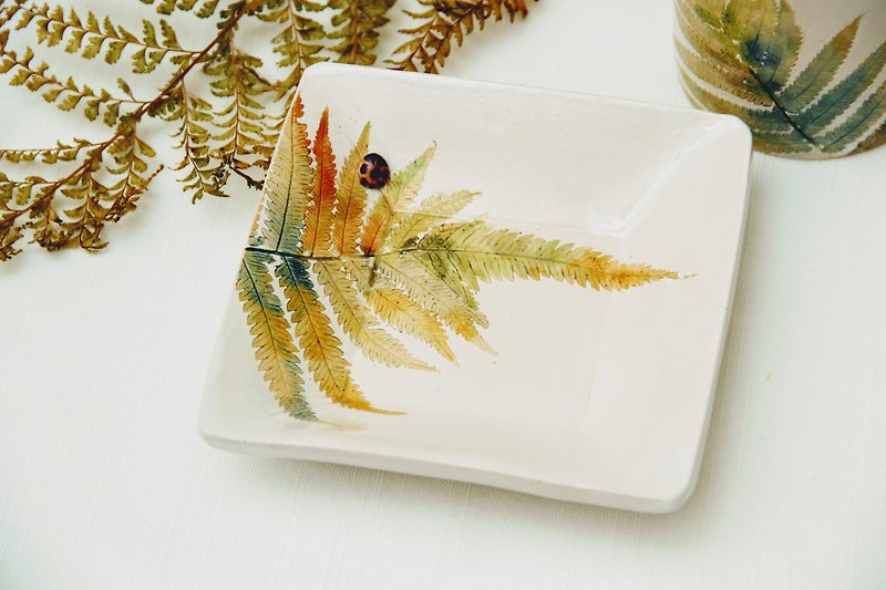 Small fern square plate - อื่นๆ - ดินเผา ขาว