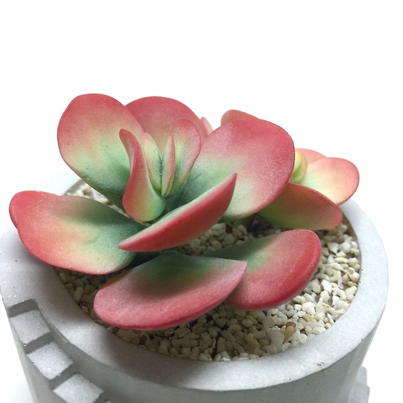 Biomimetic clay succulent plant Crassulaceae Tangyin - Items for Display - Clay 