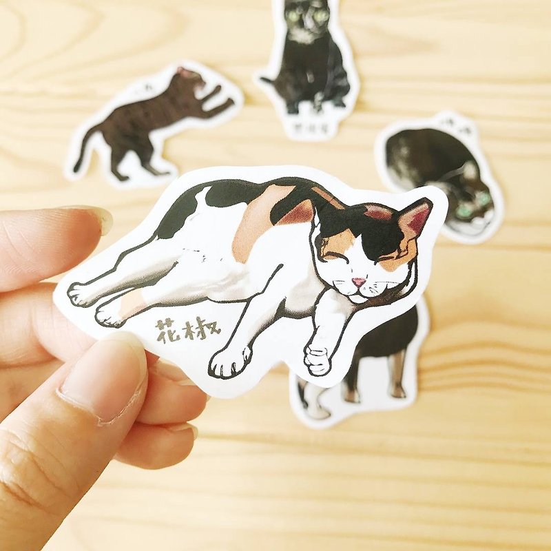 【Charity Products】Street Cats' Life - Waterproof stickers (5 pcs) - Stickers - Paper Multicolor