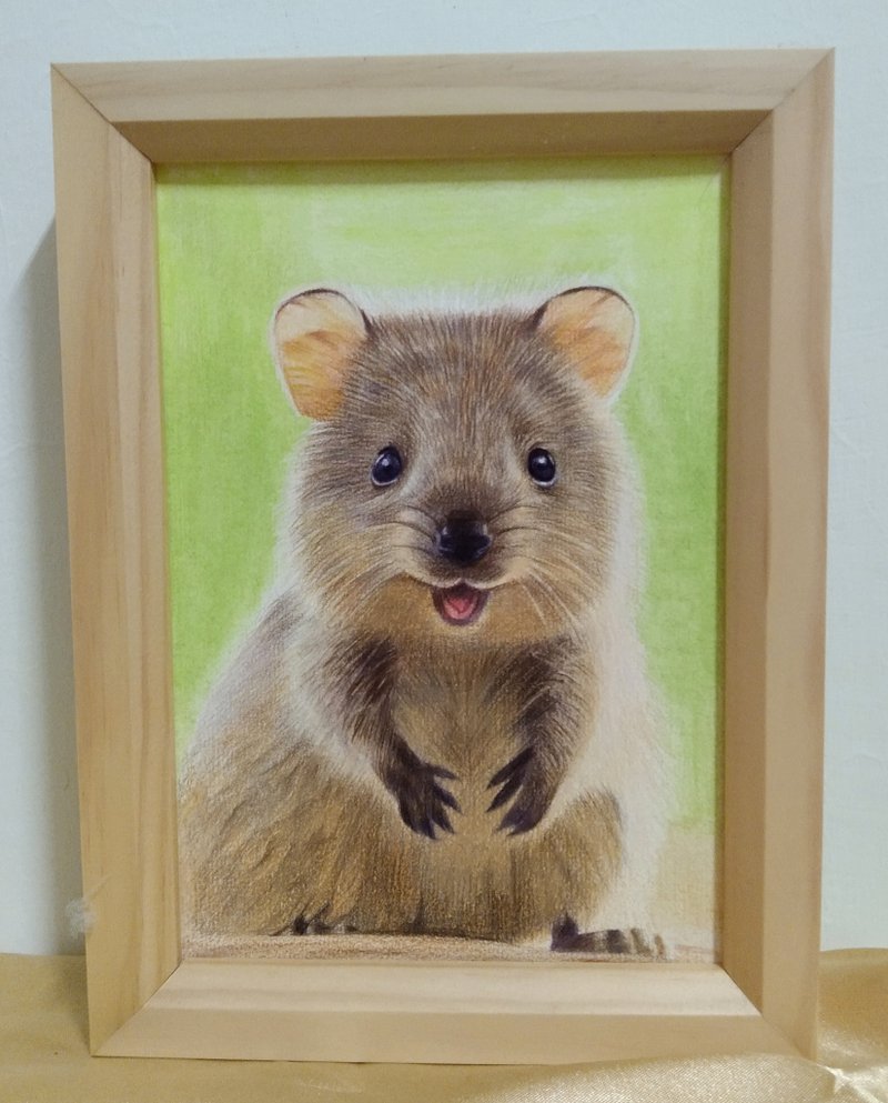 Decoration/ Australian quokka/ Color pencil drawing/ Original/ Framed - โปสเตอร์ - กระดาษ 
