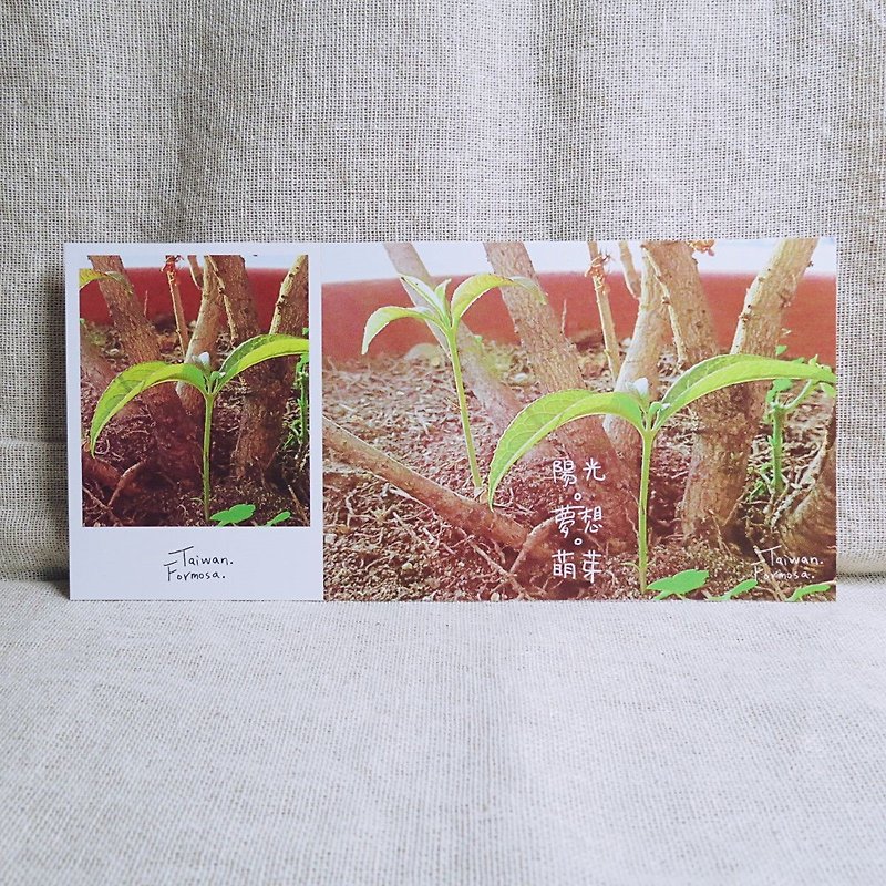 [Stub postcard] - Budding - Dream-recommended - Cards & Postcards - Paper Brown