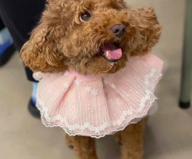 ピンクプリンセス ツバ ショルダー レース プリンセス 猫と犬の首輪