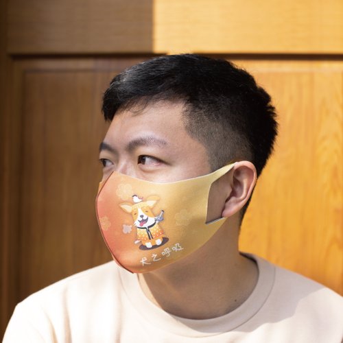 Prodigy 波特鉅 犬系列-蜜糖橘─3D立體透氣抗菌口罩2入
