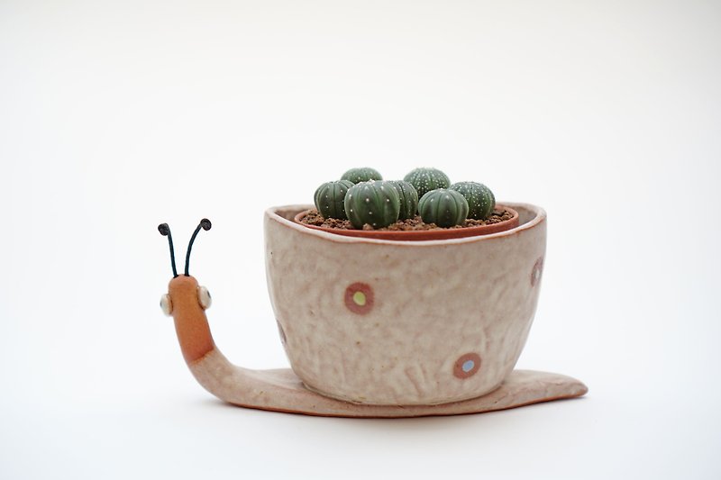 Snail pot , Snail plant pot , Handmade ceramics , pottery  - 植物/盆栽/盆景 - 陶 多色