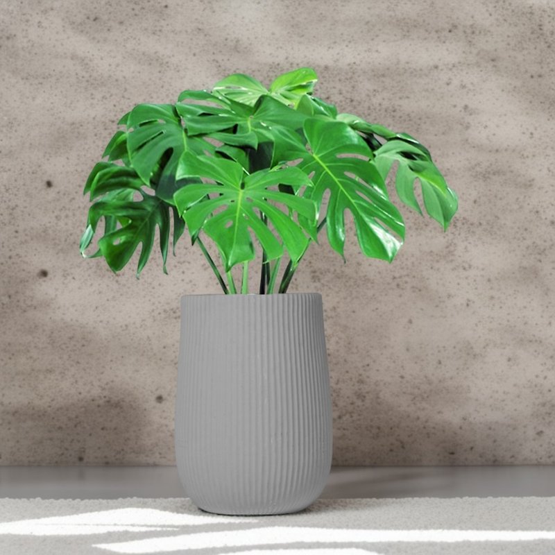 Turtle taro Cement potted plant large potted straight striped rock gray round pot floor-standing potted plant Nordic minimalist - ตกแต่งต้นไม้ - พืช/ดอกไม้ 