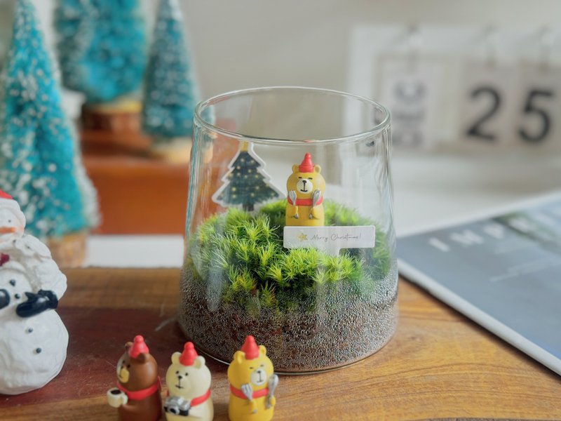 【聖誕微景觀】聖誕雄快樂 苔蘚缸(附聖誕提袋).生態缸.交換禮物 - 盆栽/植栽 - 植物．花 綠色