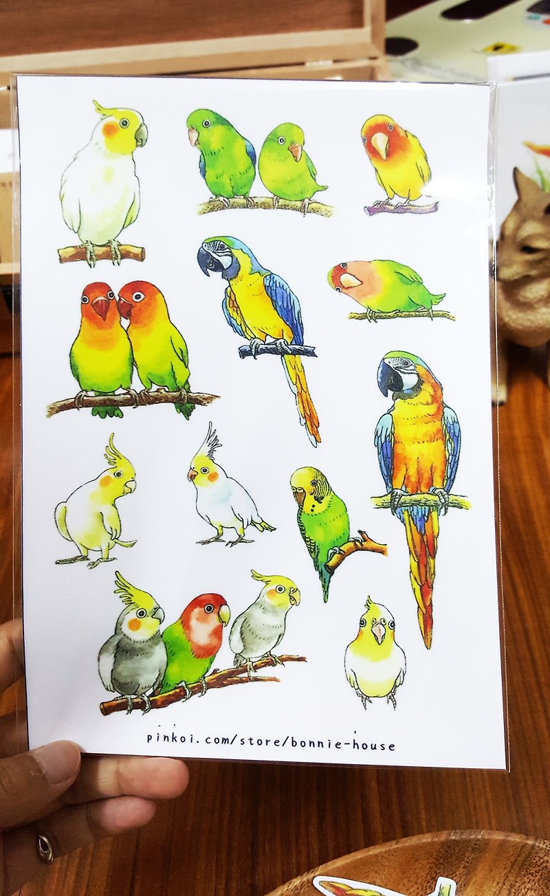 Bonnie 水彩手繪 鸚鵡貼紙(無軋型) - 貼紙 - 紙 多色