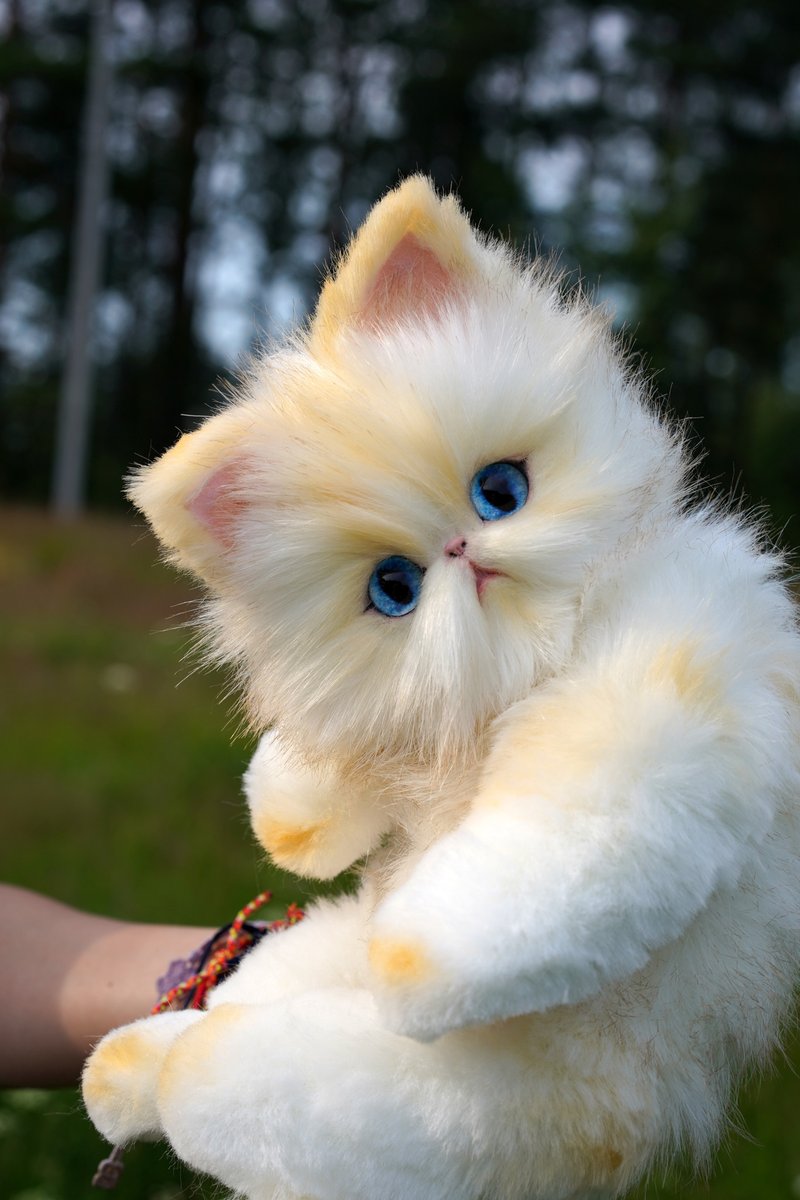 persian cat kitten cute stuffed figure movable - 公仔/玩偶 - 其他材質 多色