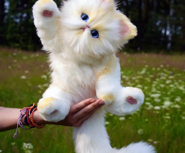 ぬいぐるみ　猫　ペルシャ猫　Excellent FIRST 日本製　美品❣️ 楽天市場】縫いぐるみ ペルシャ猫 可愛いねこ ふわふわ 柔らかい