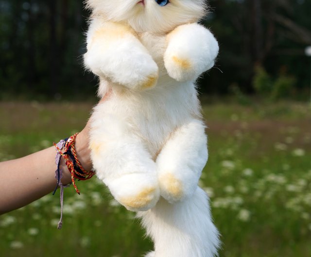 ペルシャ猫の子猫のかわいいぬいぐるみ、動くフィギュア