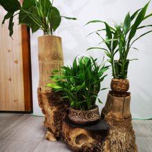 アイスクリームコーン型の植木鉢石' - ショップ wtrless