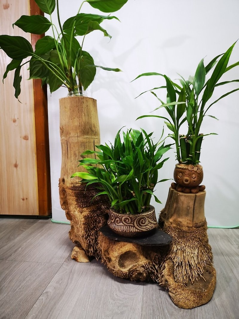 -Double tree head-Flower stand, flower stand, display stand, potted plant stand, succulent plant wood decoration - Plants - Bamboo Khaki
