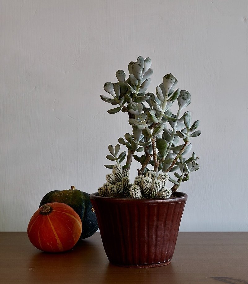 陶器 観葉植物 レッド - 紫のシンプルなストレートpattern_pottery植木鉢