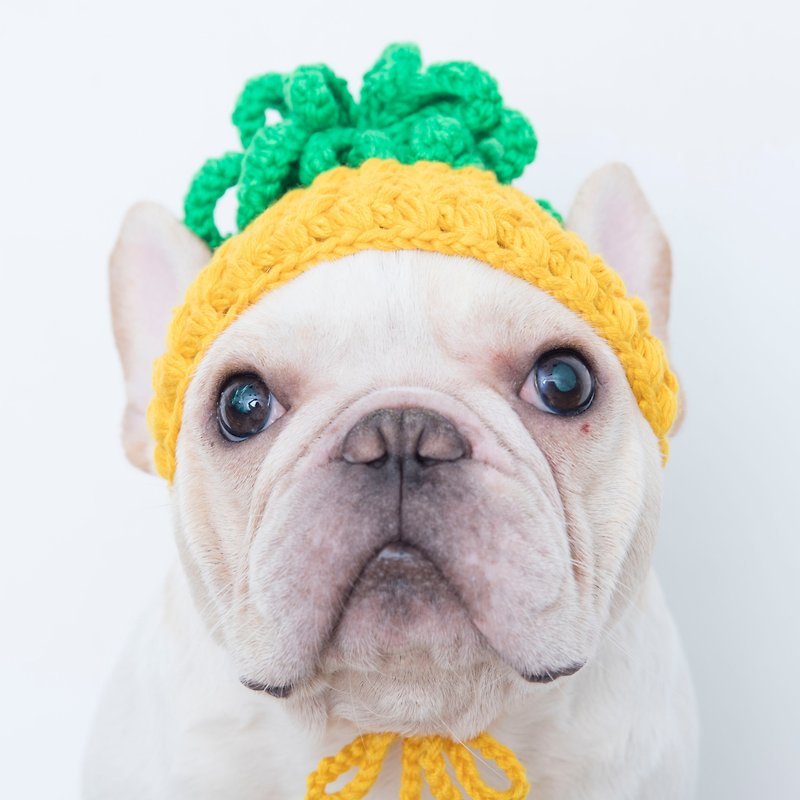 水果王國系列頭套 – 金鑽鳳梨 蓊萊 菠蘿 - 寵物衣服 - 聚酯纖維 黃色