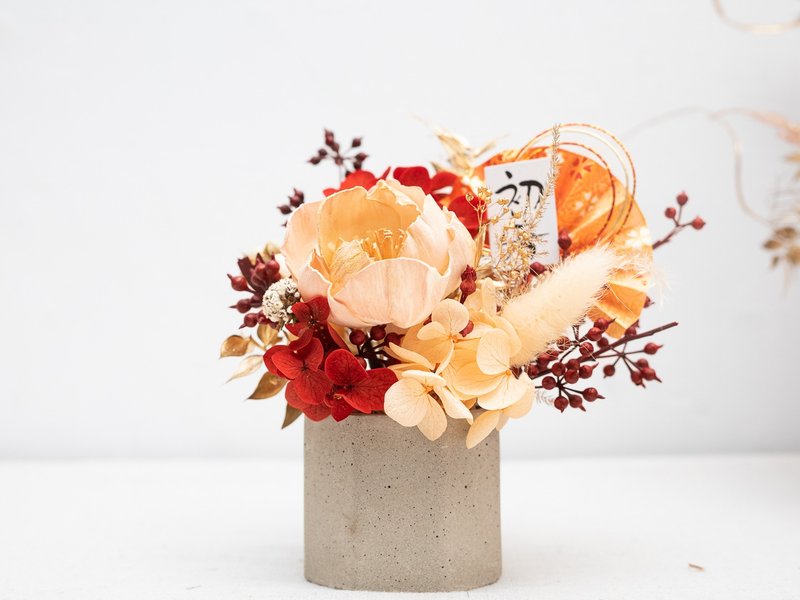 Celebrate the Spring Morning_New Year’s Potted Flower Gift - Dried Flowers & Bouquets - Plants & Flowers Multicolor