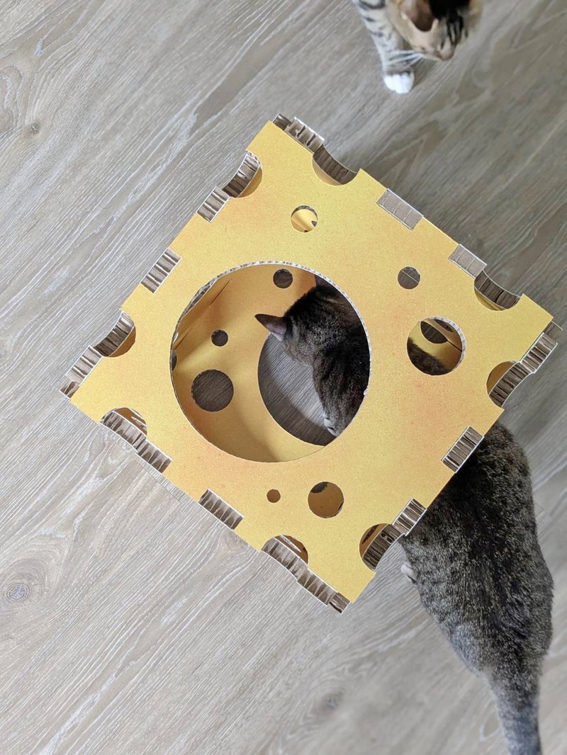 Cheezzz House/起士貓窩/100%紙/台灣製 - 寵物碗/碗架/自動餵食器 - 紙 橘色