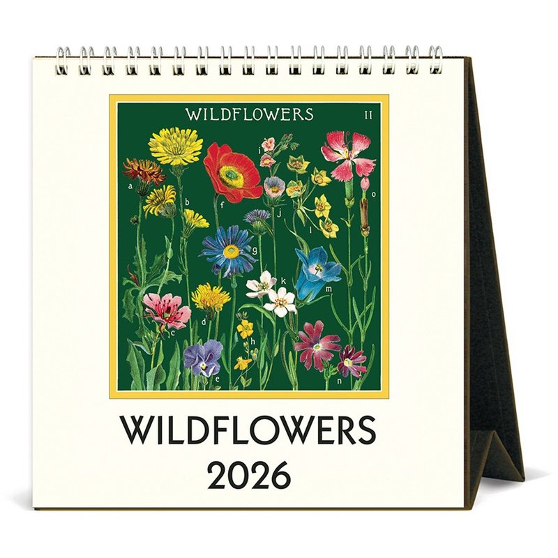 (預購) Cavallini & Co.  2026 桌曆\月曆 WILDFLOWERS - 日曆/月曆/年曆 - 紙 多色