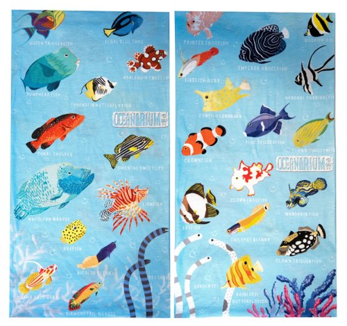 海洋水族館 海水魚多用途頭巾(雙面圖案)