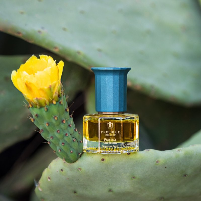 抗老精華油 ─【鉑翡斯】仙人掌籽超能量金萃油 15ml 植萃 保養油 - 精華液/精華油 - 濃縮/萃取物 