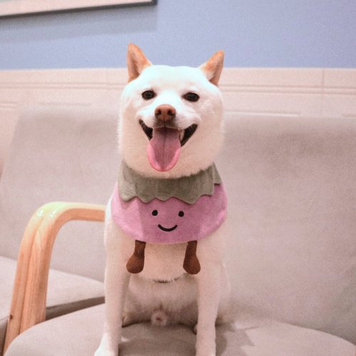 Pet Art Space 茄仔 寵物圍兜/領巾/口水巾/圍巾 毛絨玩偶 公仔 刺繡