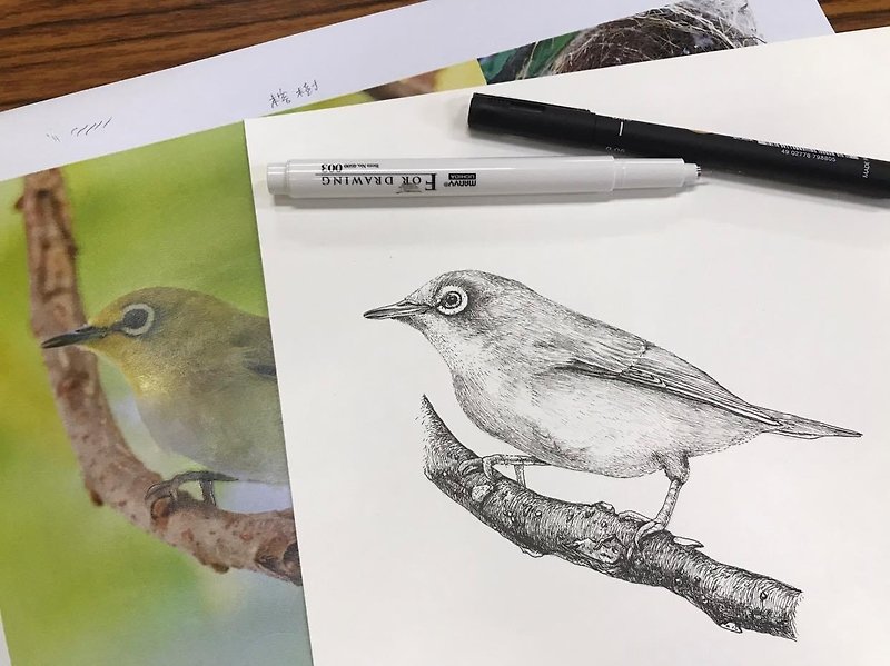 bird feather painting - วาดภาพ/ศิลปะการเขียน - กระดาษ 