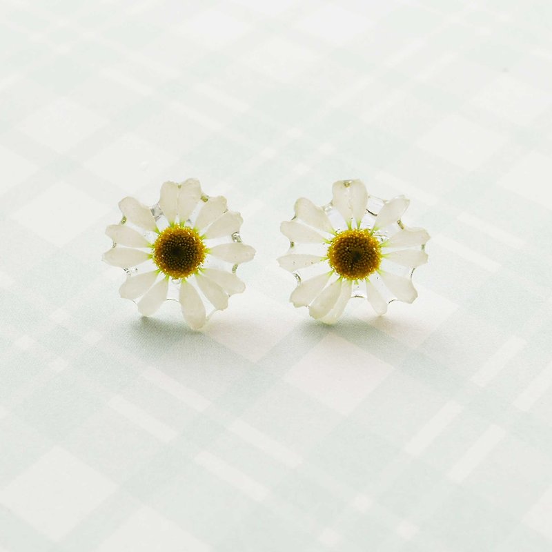 Real Matricaria recutita earrings - Earrings & Clip-ons - Resin White