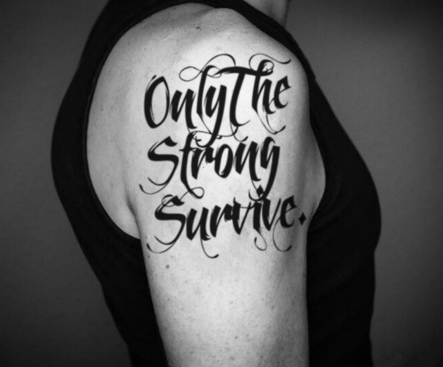 Only the Strong Survive  Joel Gordon Photography