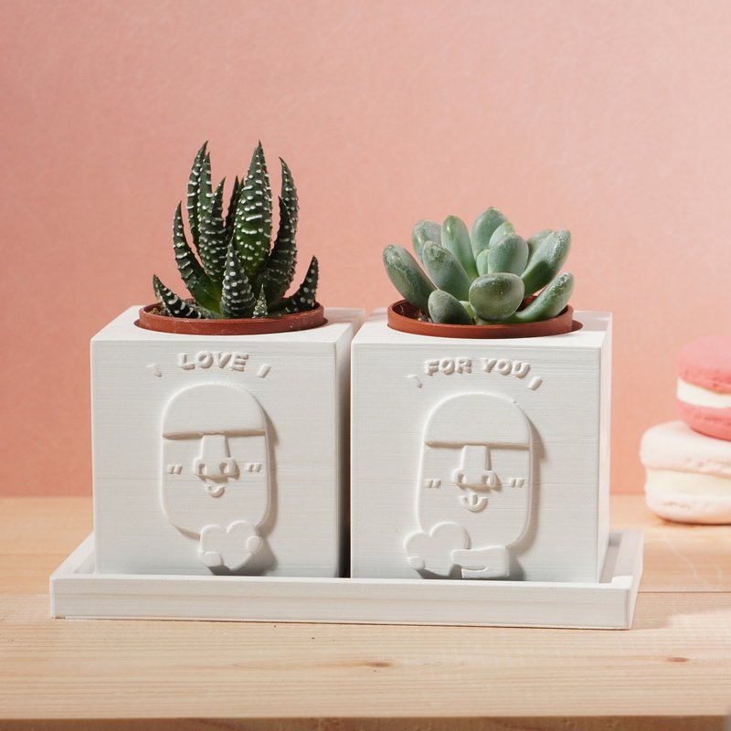 [Customized gift] Love & For you Moai | Succulents Cement potted plant | Ray carving - Plants - Cement White