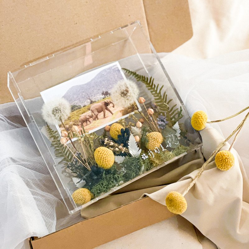 Early morning dandelion x yellow, green and white herbs x dandelion without withering dry flower transparent flower frame - กรอบรูป - อะคริลิค 